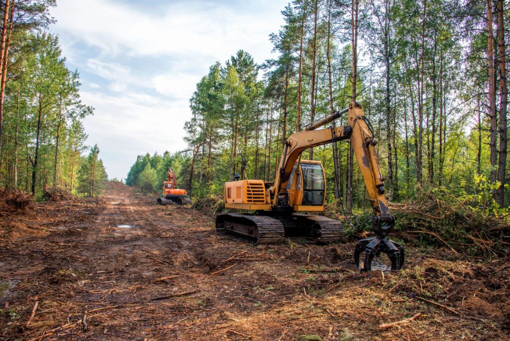 Excavator,Grapple,During,Clearing,Forest,For,New,Development.,Tracked,Backhoe