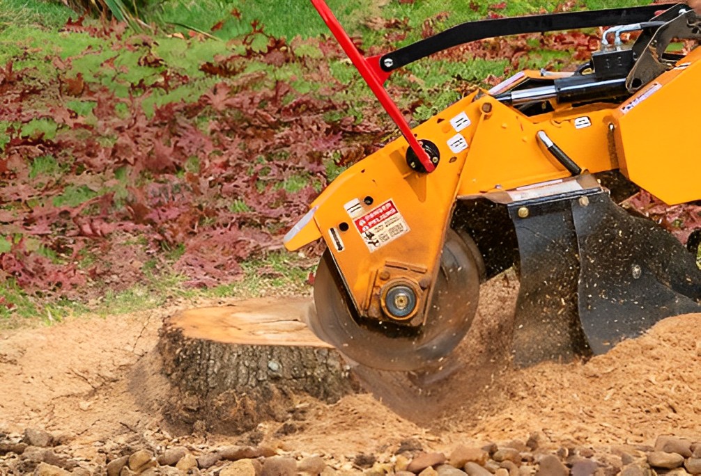 find-the-perfect-stump-grinder-for-sale-featured-image